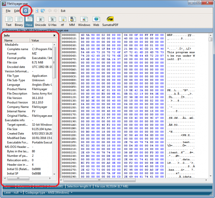 FileVoyager-Viewer-Info