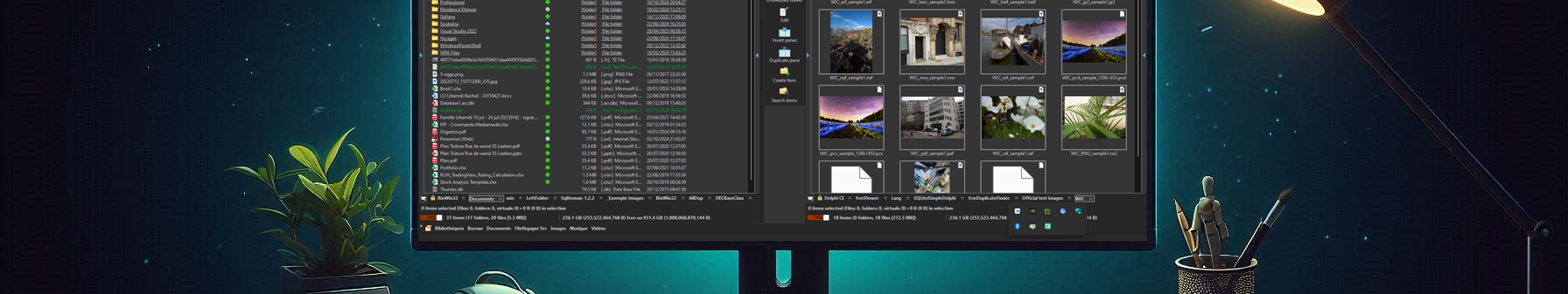 FileVoyager