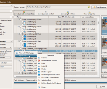 The Duplicate Finder